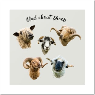 Mad About Sheep Posters and Art